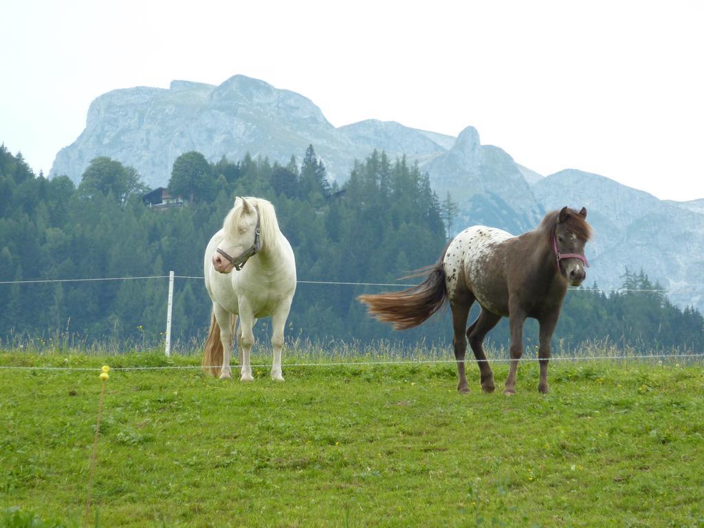 Bio-Bauernhof Rettenbachgut Werfen Esterno foto