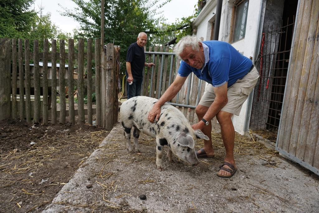 Bio-Bauernhof Rettenbachgut Werfen Esterno foto