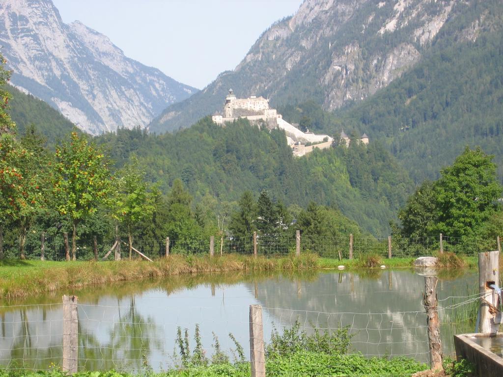 Bio-Bauernhof Rettenbachgut Werfen Esterno foto